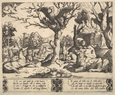 Uma fênix sentada em cima de uma árvore, asas abertas, um sortimento de animais abaixo, 1530-60. de Master of the Die