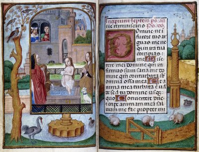 Bathsheba, c.1490 de Master of the Dresden Prayer Book