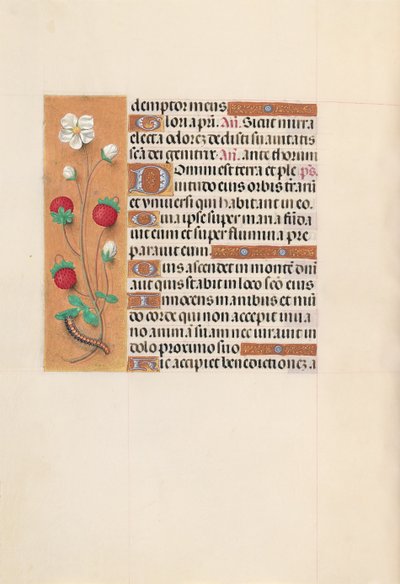 Horas da rainha Isabel, a católica, rainha da Espanha: Fol. 102v, c. 1500. de Master of the First Prayerbook of Maximillian