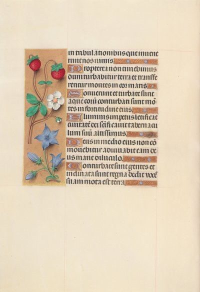 Horas da rainha Isabel, a católica, rainha da Espanha: Fol. 105v, c. 1500. de Master of the First Prayerbook of Maximillian