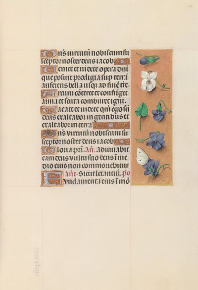 Horas da rainha Isabel, a católica, rainha da Espanha: Fol. 106r, c. 1500. de Master of the First Prayerbook of Maximillian