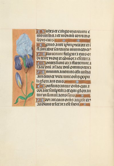 Horas da rainha Isabel, a católica, rainha da Espanha: Fol. 108v, c. 1500. de Master of the First Prayerbook of Maximillian