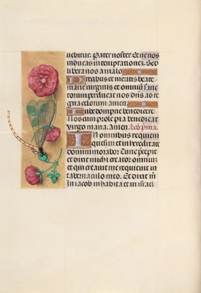 Horas da rainha Isabel, a católica, rainha da Espanha: Fol. 110v, c. 1500. de Master of the First Prayerbook of Maximillian