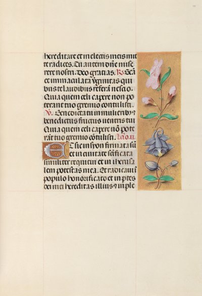 Horas da rainha Isabel, a católica, rainha da Espanha: Fol. 111r, c. 1500. de Master of the First Prayerbook of Maximillian