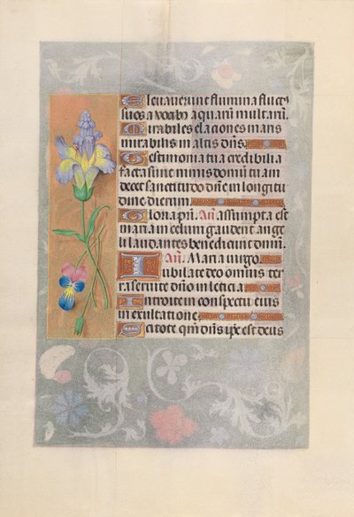 Horas da Rainha Isabel, a Católica, Rainha da Espanha: Fol. 116v, c. 1500. de Master of the First Prayerbook of Maximillian