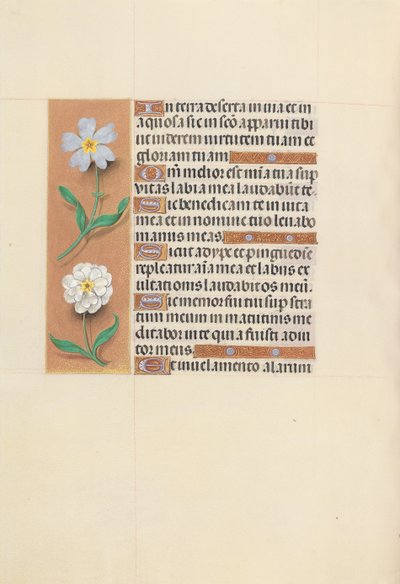 Horas da rainha Isabel, a católica, rainha da Espanha: Fol. 117v, c. 1500. de Master of the First Prayerbook of Maximillian