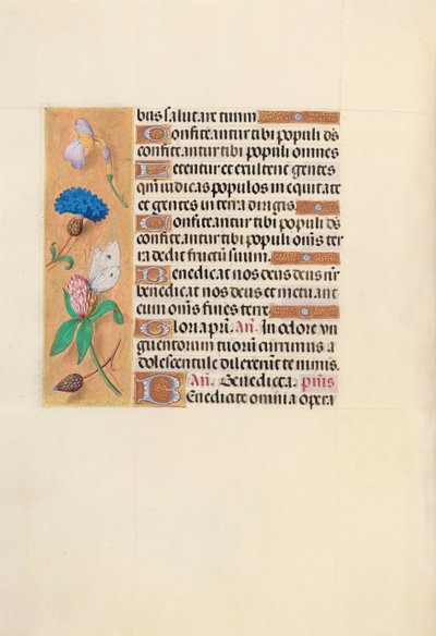 Horas da rainha Isabel, a católica, rainha da Espanha: Fol. 118v, c. 1500. de Master of the First Prayerbook of Maximillian