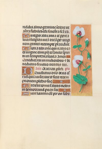 Horas da rainha Isabel, a católica, rainha da Espanha: Fol. 123r, c. 1500. de Master of the First Prayerbook of Maximillian