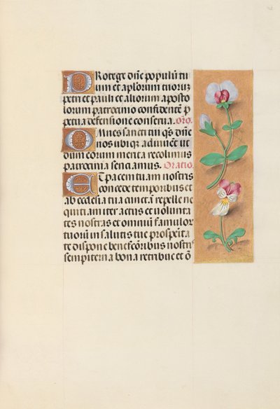 Horas da rainha Isabel, a católica, rainha da Espanha: Fol. 125r, c. 1500. de Master of the First Prayerbook of Maximillian