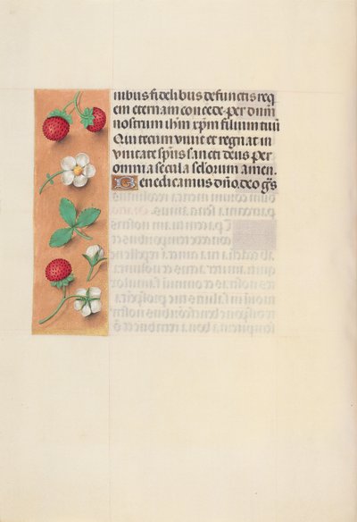 Horas da rainha Isabel, a católica, rainha da Espanha: Fol. 125v, c. 1500. de Master of the First Prayerbook of Maximillian