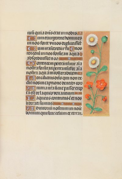Horas da rainha Isabel, a católica, rainha da Espanha: Fol. 138r, c. 1500. de Master of the First Prayerbook of Maximillian