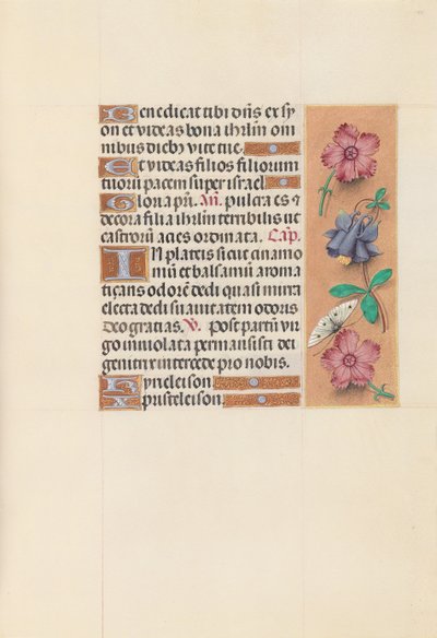 Horas da rainha Isabel, a católica, rainha da Espanha: Fol. 144r, c. 1500. de Master of the First Prayerbook of Maximillian