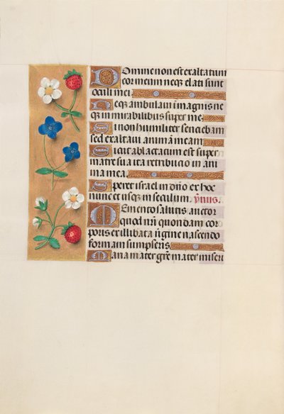 Horas da rainha Isabel, a católica, rainha da Espanha: Fol. 156v, c. 1500. de Master of the First Prayerbook of Maximillian