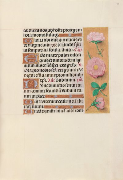 Horas da rainha Isabel, a católica, rainha da Espanha: Fol. 157r, c. 1500. de Master of the First Prayerbook of Maximillian