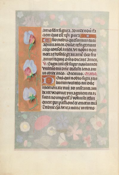 Horas da rainha Isabel, a católica, rainha da Espanha: Fol. 15v, c. 1500. de Master of the First Prayerbook of Maximillian