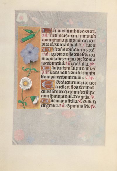 Horas da rainha Isabel, a católica, rainha da Espanha: Fol. 160v, c. 1500. de Master of the First Prayerbook of Maximillian