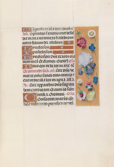 Horas da rainha Isabel, a católica, rainha da Espanha: Fol. 161r, c. 1500. de Master of the First Prayerbook of Maximillian
