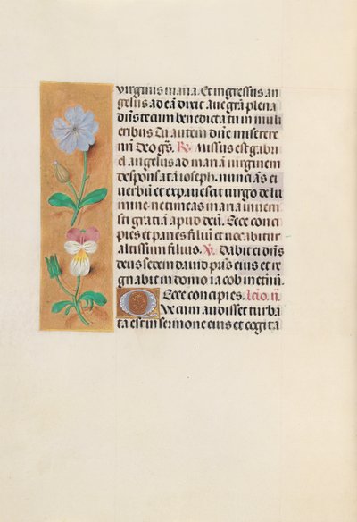 Horas da rainha Isabel, a católica, rainha da Espanha: Fol. 162v, c. 1500. de Master of the First Prayerbook of Maximillian