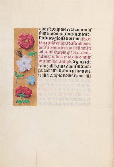 Horas da Rainha Isabel, a Católica, Rainha da Espanha: Fol. 166v, c. 1500. de Master of the First Prayerbook of Maximillian
