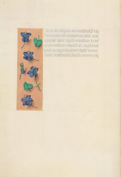 Horas da rainha Isabel, a católica, rainha da Espanha: Fol. 16v, borda curta, c. 1500. de Master of the First Prayerbook of Maximillian