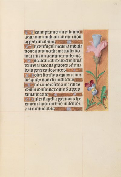 Horas da rainha Isabel, a católica, rainha da Espanha: Fol. 202r, c. 1500. de Master of the First Prayerbook of Maximillian