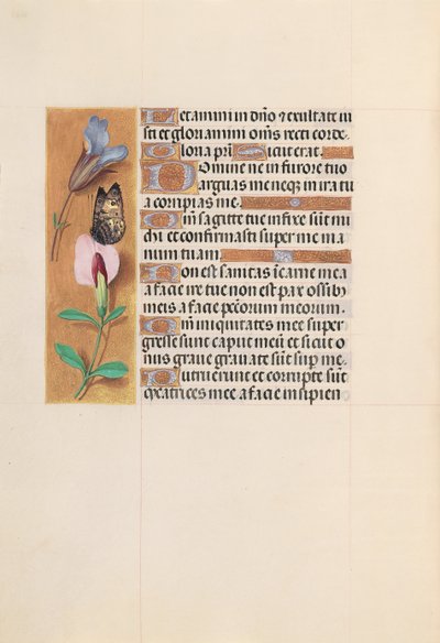 Horas da rainha Isabel, a católica, rainha da Espanha: Fol. 202v, c. 1500. de Master of the First Prayerbook of Maximillian