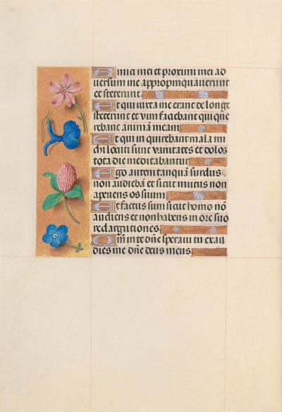 Horas da rainha Isabel, a católica, rainha da Espanha: Fol. 203v, c. 1500. de Master of the First Prayerbook of Maximillian