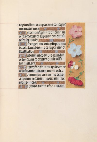 Horas da rainha Isabel, a católica, rainha da Espanha: Fol. 205r, c. 1500. de Master of the First Prayerbook of Maximillian