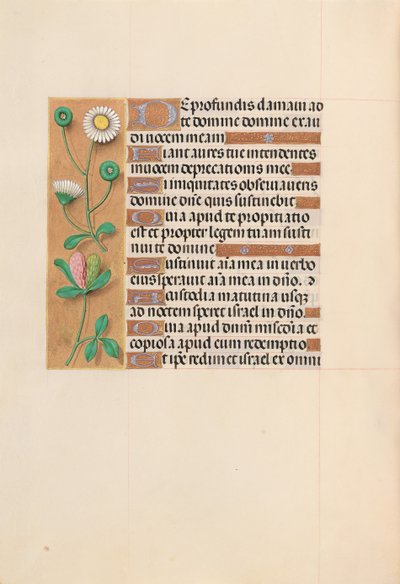 Horas da rainha Isabel, a católica, rainha da Espanha: Fol. 208v, c. 1500. de Master of the First Prayerbook of Maximillian
