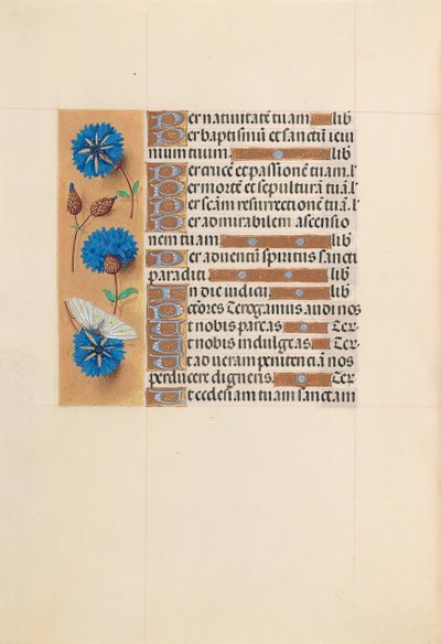 Horas da rainha Isabel, a católica, rainha da Espanha: Fol. 213v, c. 1500. de Master of the First Prayerbook of Maximillian