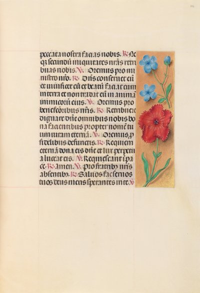 Horas da rainha Isabel, a católica, rainha da Espanha: Fol. 216r, c. 1500. de Master of the First Prayerbook of Maximillian