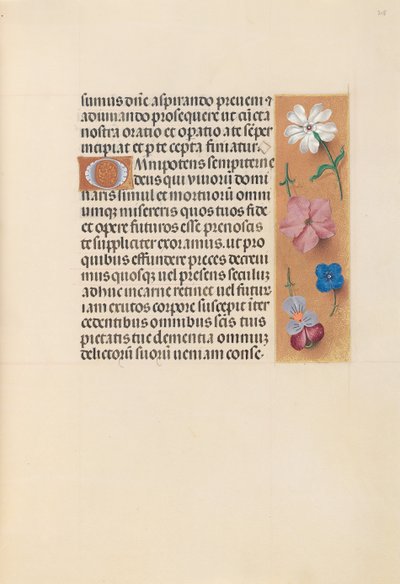 Horas da rainha Isabel, a católica, rainha da Espanha: Fol. 218r, c. 1500. de Master of the First Prayerbook of Maximillian