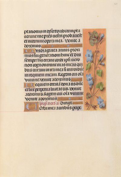 Horas da rainha Isabel, a católica, rainha da Espanha: Fol. 227r, c. 1500. de Master of the First Prayerbook of Maximillian