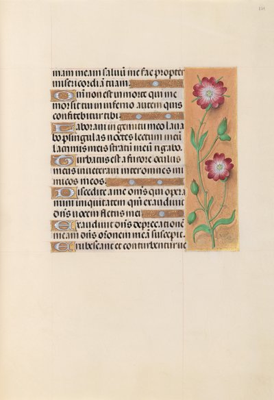 Horas da rainha Isabel, a católica, rainha da Espanha: Fol. 229r, c. 1500. de Master of the First Prayerbook of Maximillian