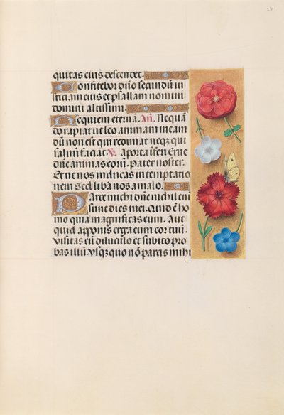 Horas da rainha Isabel, a católica, rainha da Espanha: Fol. 231r, c. 1500. de Master of the First Prayerbook of Maximillian