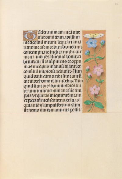 Horas da rainha Isabel, a Católica, rainha de Espanha:  Fol. 232r de Master of the First Prayerbook of Maximillian