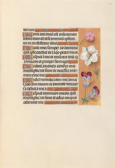 Horas da rainha Isabel, a católica, rainha da Espanha: Fol. 235r, c. 1500. de Master of the First Prayerbook of Maximillian