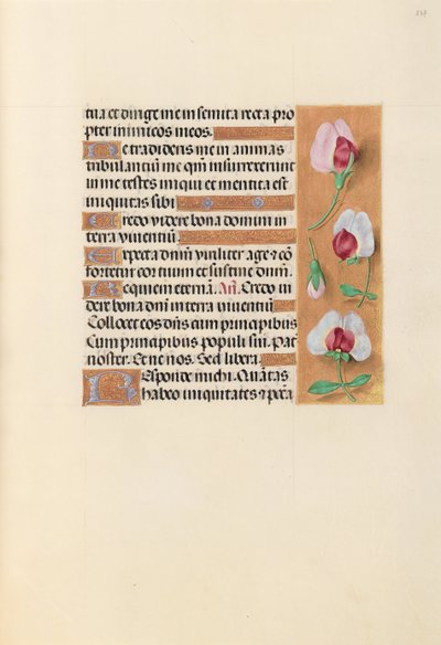 Horas da rainha Isabel, a católica, rainha da Espanha: Fol. 237r, c. 1500. de Master of the First Prayerbook of Maximillian