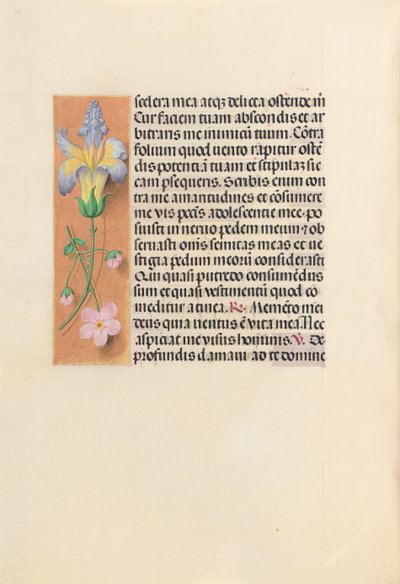 Horas da rainha Isabel, a católica, rainha da Espanha: Fol. 237v, c. 1500. de Master of the First Prayerbook of Maximillian