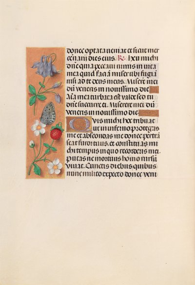 Horas da rainha Isabel, a católica, rainha da Espanha: Fol. 238v, c. 1500. de Master of the First Prayerbook of Maximillian
