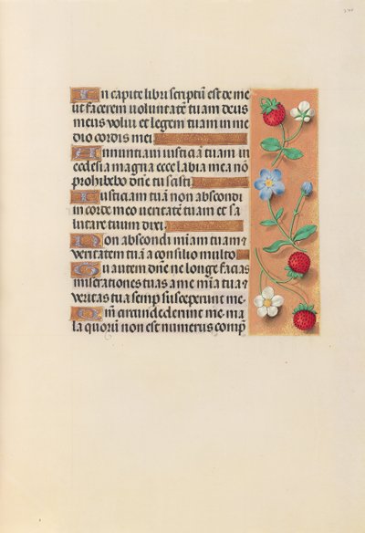 Horas da rainha Isabel, a católica, rainha da Espanha: Fol. 240r, c. 1500. de Master of the First Prayerbook of Maximillian