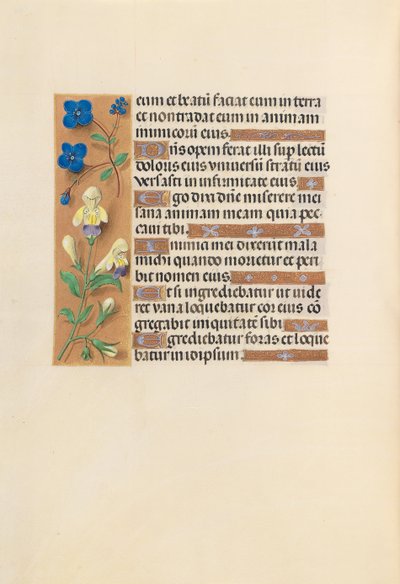 Horas da rainha Isabel, a católica, rainha da Espanha: Fol. 241v, c. 1500. de Master of the First Prayerbook of Maximillian