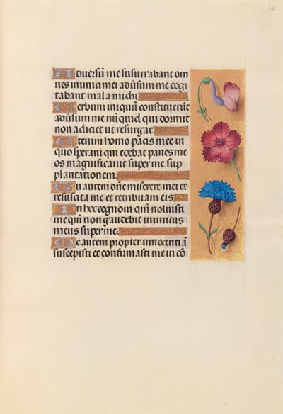 Horas da rainha Isabel, a católica, rainha da Espanha: Fol. 242r, c. 1500. de Master of the First Prayerbook of Maximillian