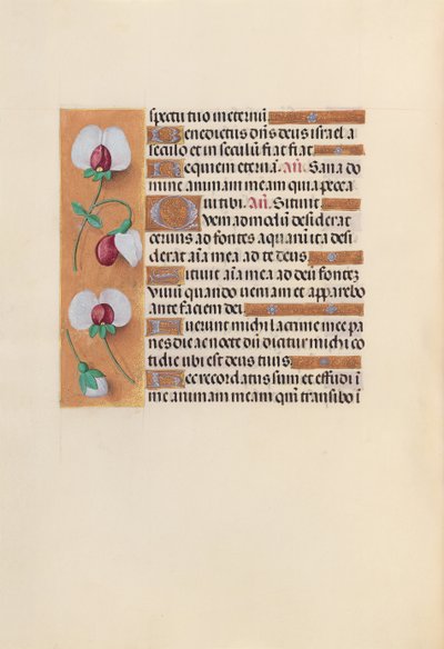 Horas da rainha Isabel, a católica, rainha da Espanha: Fol. 242v, c. 1500. de Master of the First Prayerbook of Maximillian