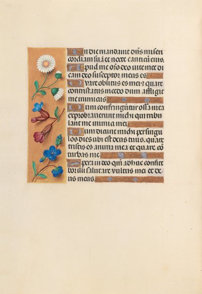 Horas da rainha Isabel, a católica, rainha da Espanha: Fol. 243v, c. 1500. de Master of the First Prayerbook of Maximillian