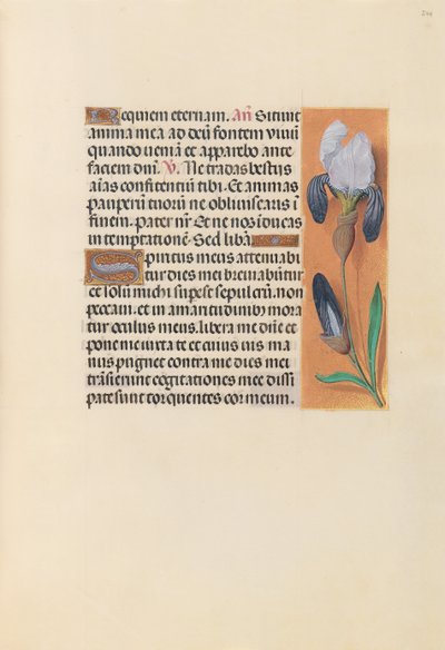 Horas da rainha Isabel, a católica, rainha da Espanha: Fol. 244r, c. 1500. de Master of the First Prayerbook of Maximillian