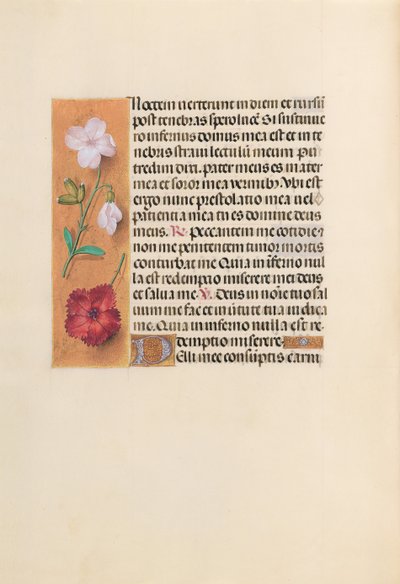 Horas da rainha Isabel, a católica, rainha da Espanha: Fol. 244v, c. 1500. de Master of the First Prayerbook of Maximillian