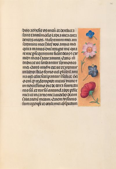 Horas da rainha Isabel, a católica, rainha da Espanha: Fol. 245r, c. 1500. de Master of the First Prayerbook of Maximillian