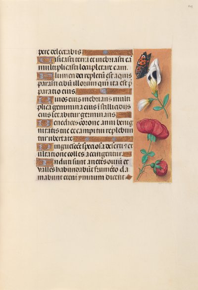 Horas da rainha Isabel, a Católica, rainha de Espanha:  Fol. 249r de Master of the First Prayerbook of Maximillian