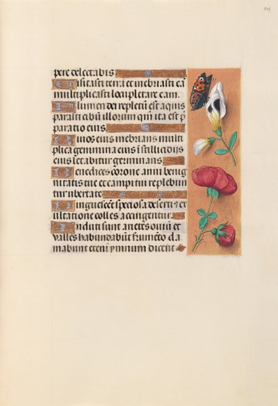 Horas da rainha Isabel, a católica, rainha da Espanha: Fol. 249r, c. 1500. de Master of the First Prayerbook of Maximillian